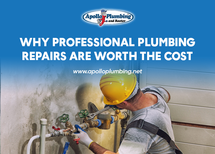 Why Professional Plumbing Repairs Are Worth the Cost